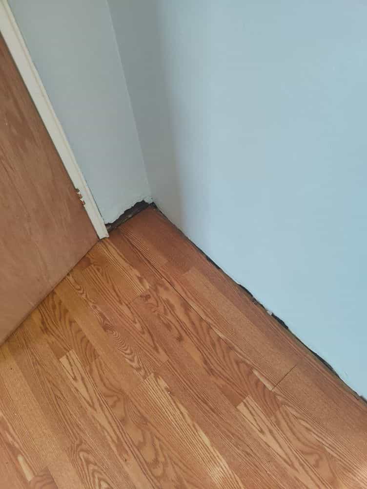 Picture of undefined, number 12