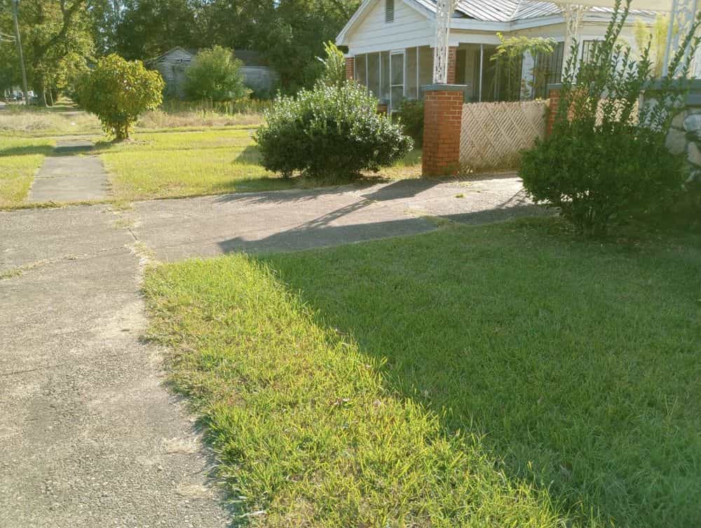 Picture of undefined, number 2