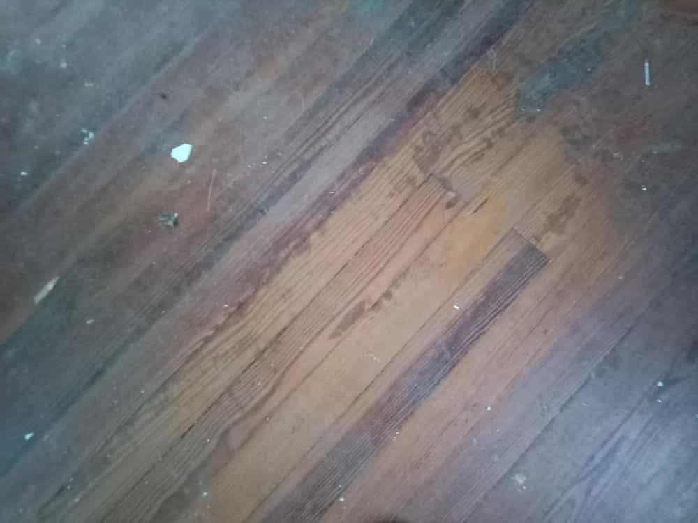Picture of undefined, number 7