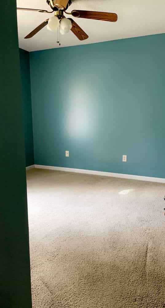 Picture of undefined, number 19