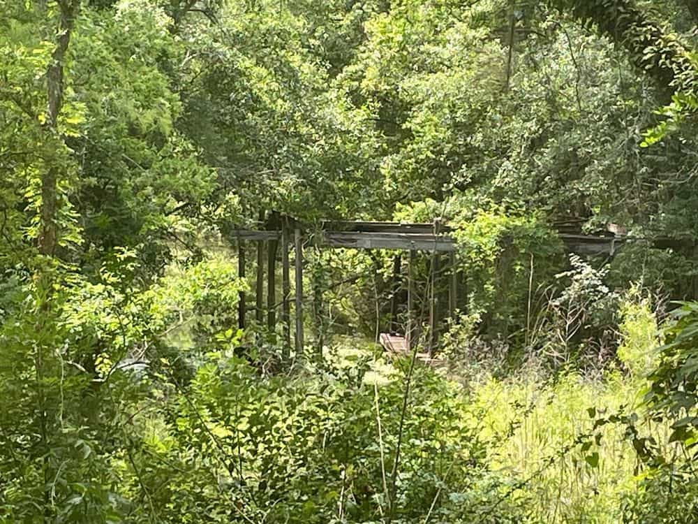 Picture of undefined, number 80