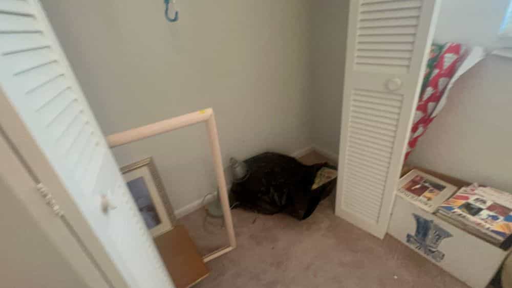 Picture of undefined, number 19