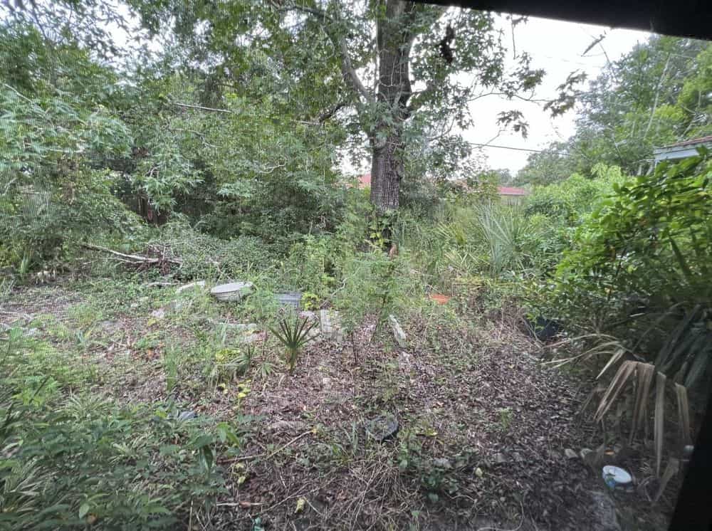 Picture of undefined, number 21