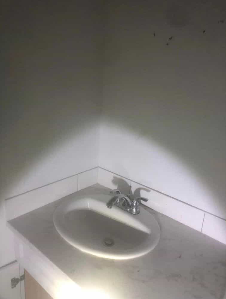 Picture of undefined, number 15