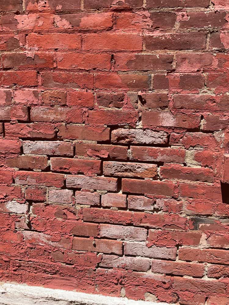 Picture of undefined, number 11