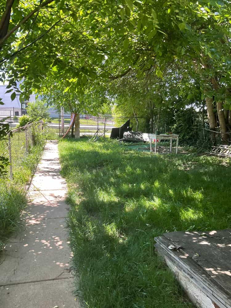 Picture of undefined, number 5