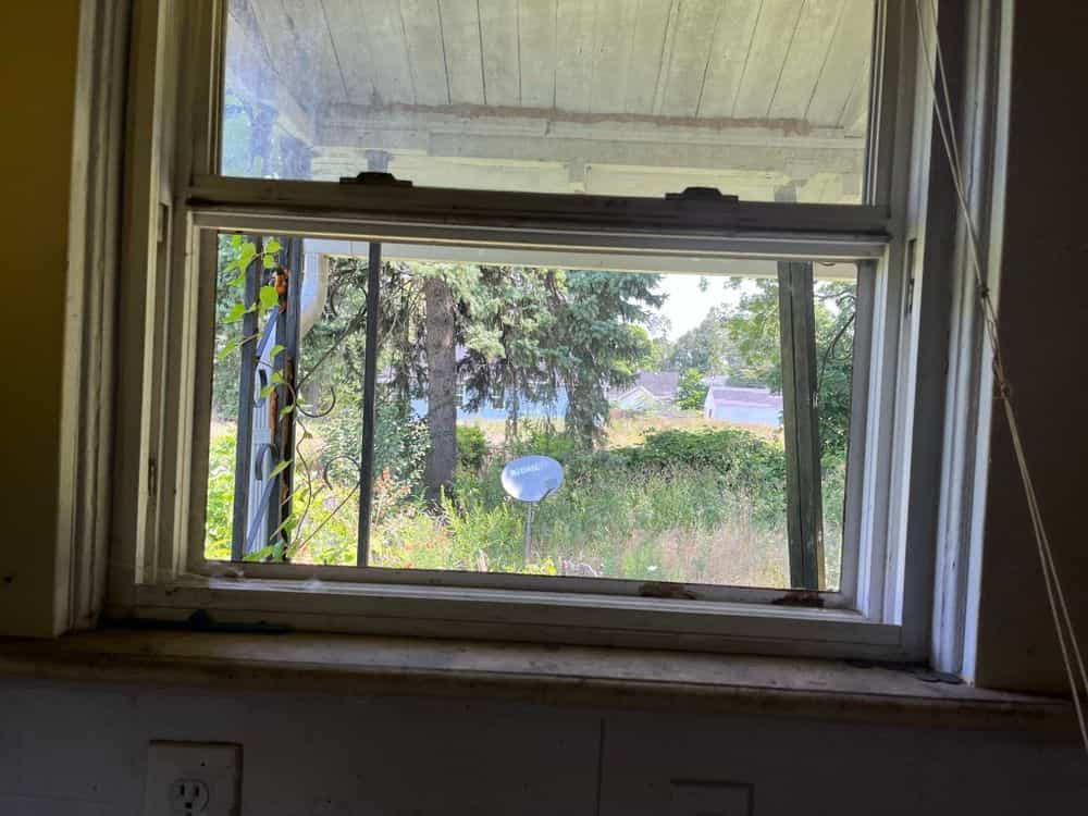 Picture of undefined, number 25
