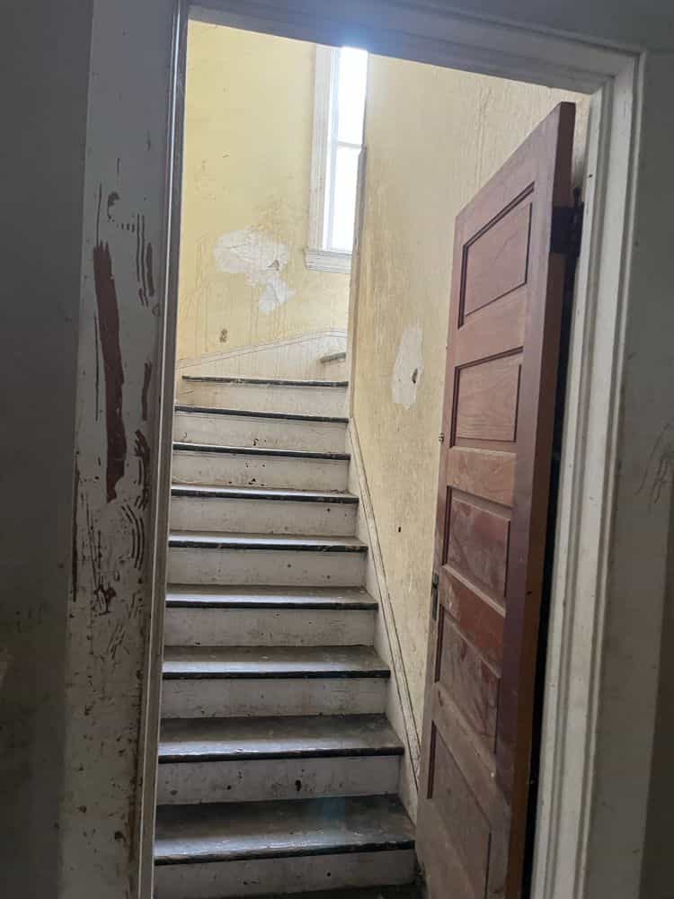 Picture of undefined, number 11