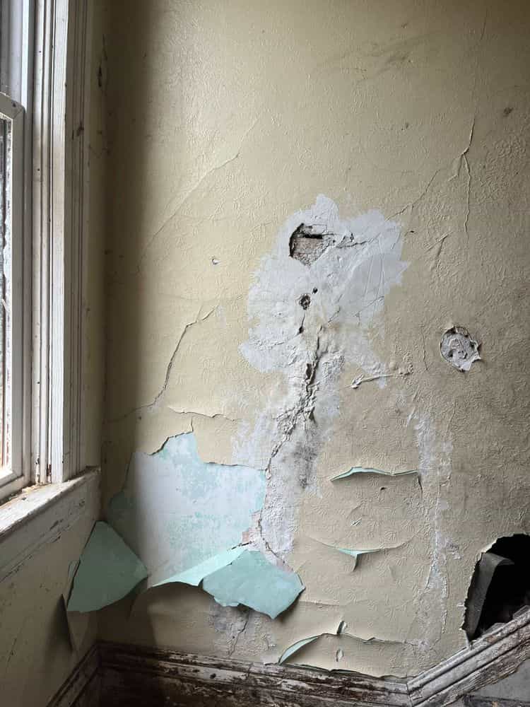 Picture of undefined, number 12