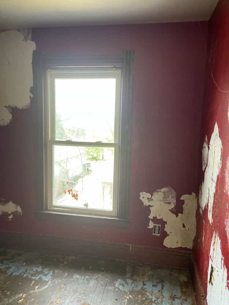 Picture of undefined, number 21