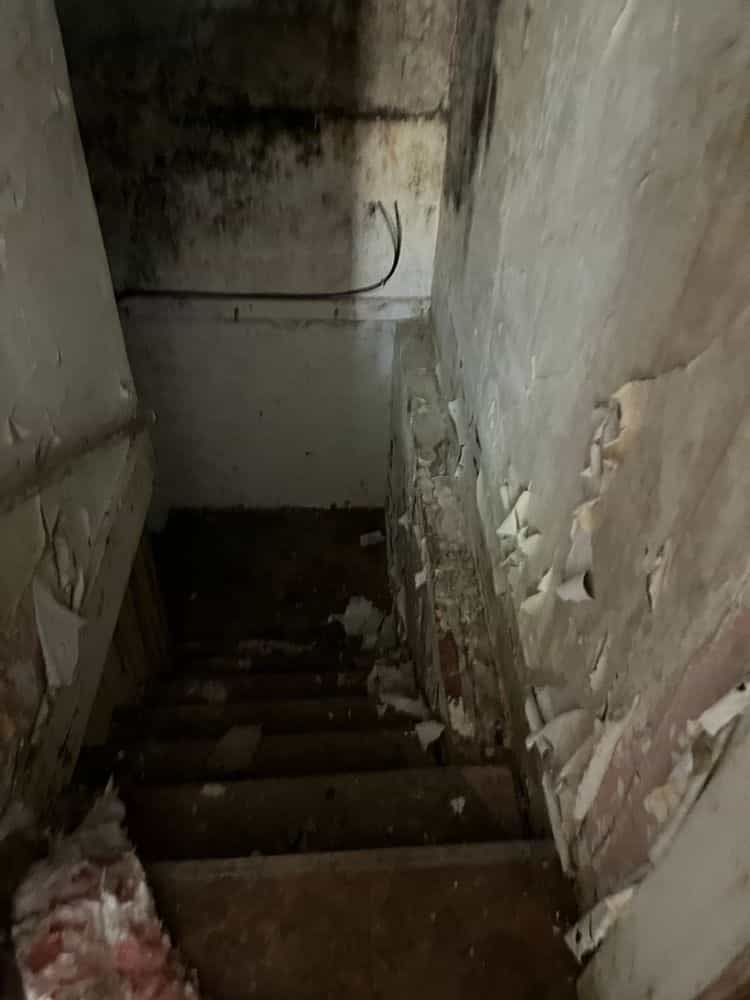 Picture of undefined, number 25