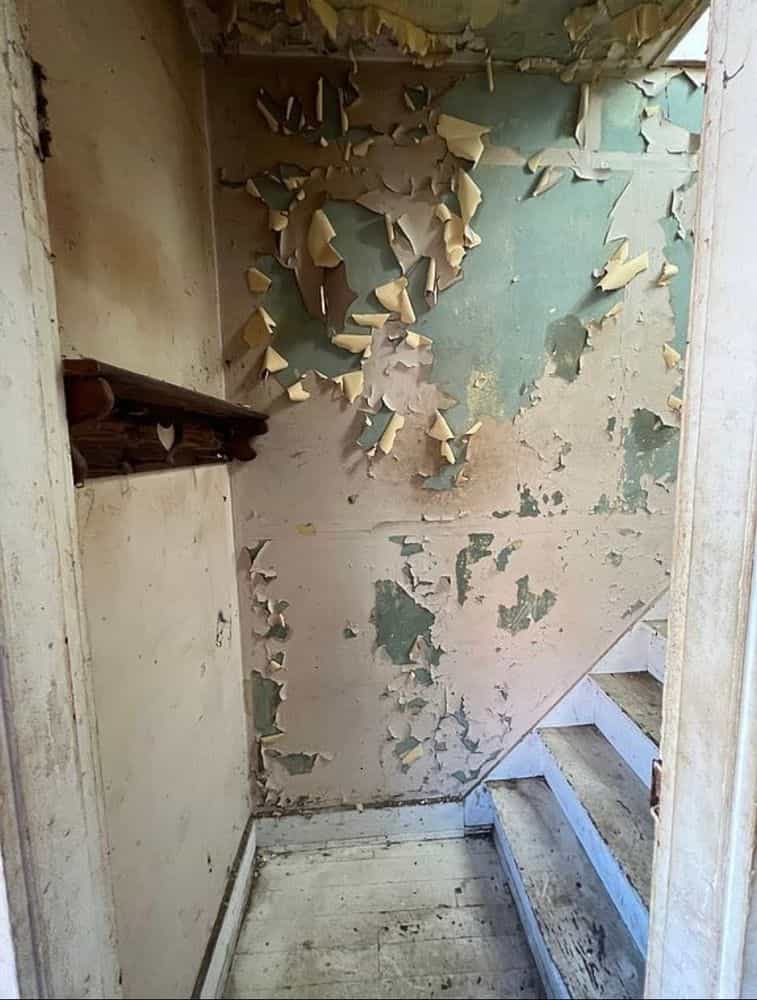 Picture of undefined, number 13