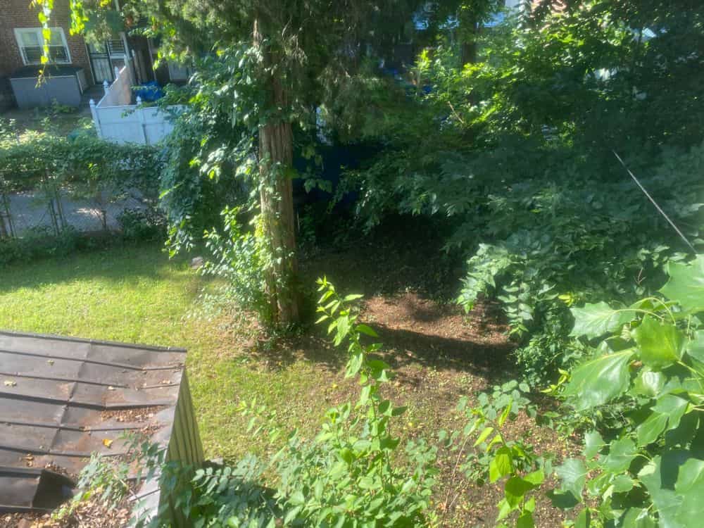 Picture of undefined, number 20