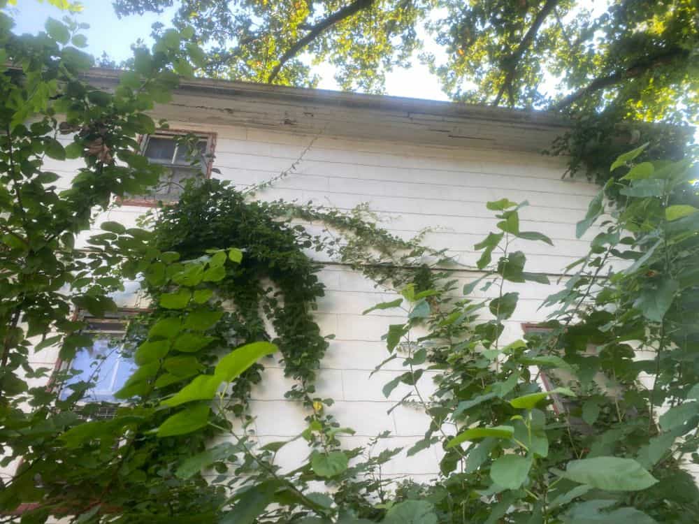 Picture of undefined, number 11