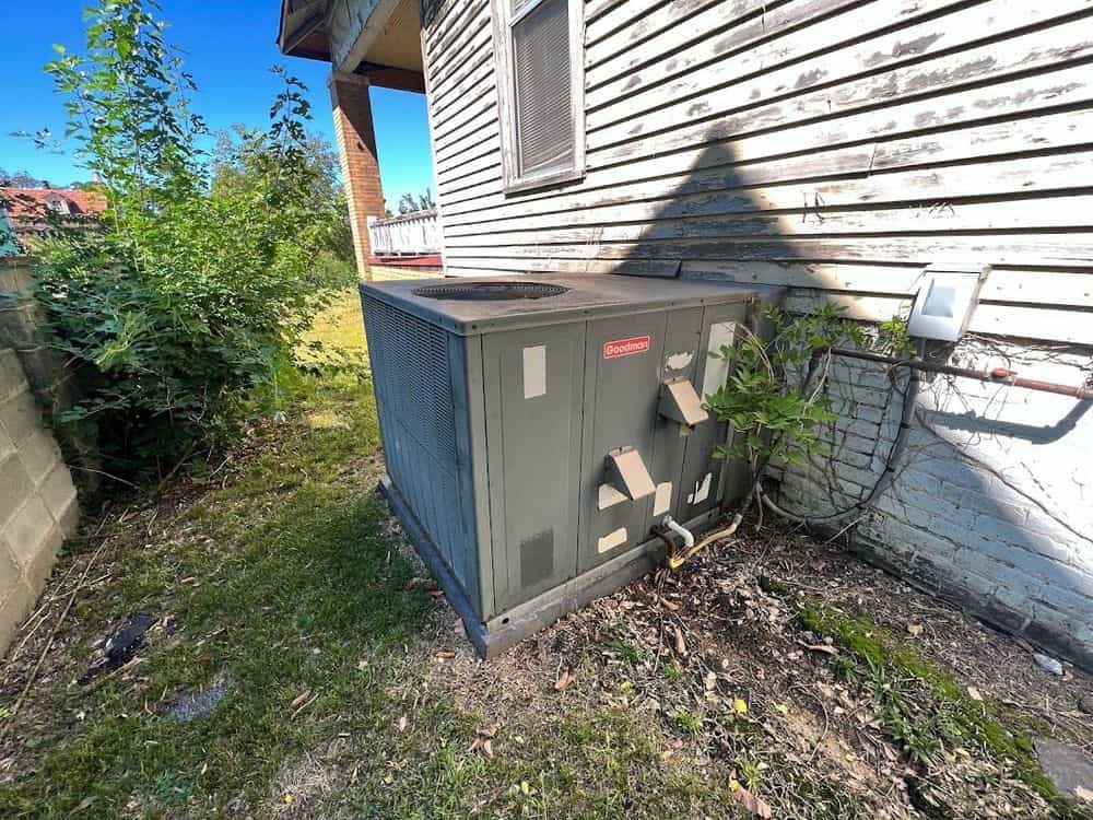 Picture of undefined, number 4