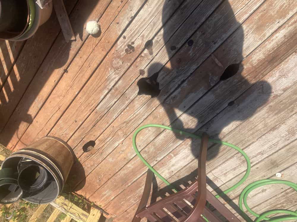 Picture of undefined, number 15