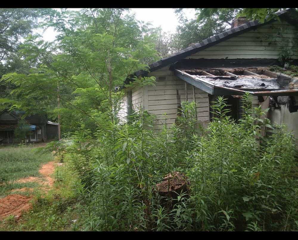 Picture of undefined, number 6