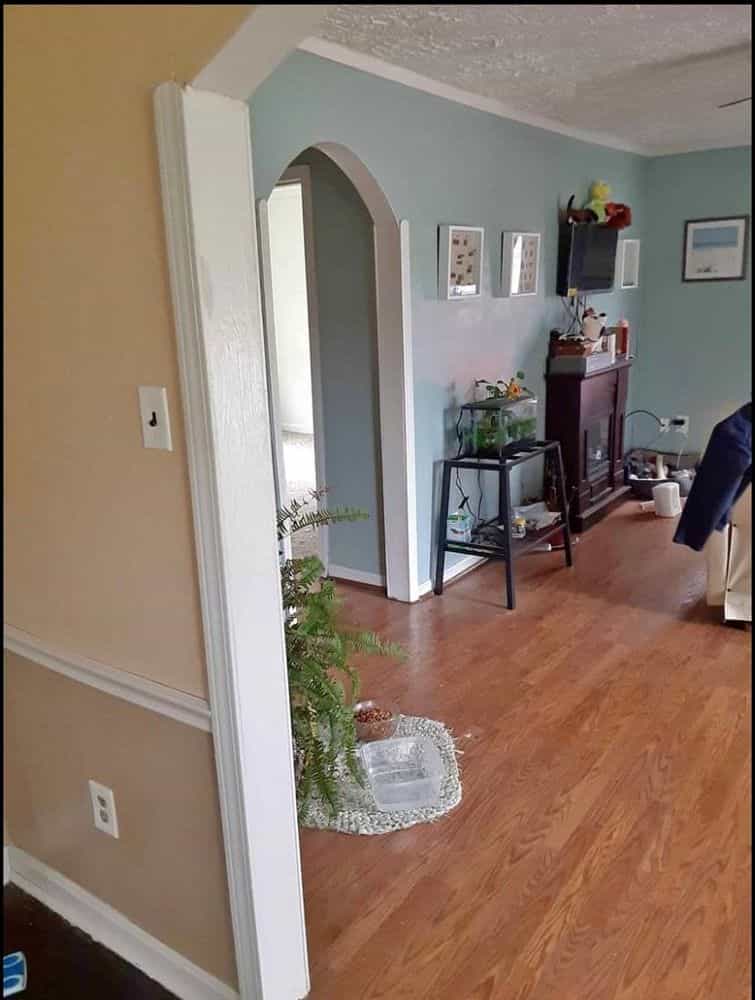 Picture of undefined, number 3