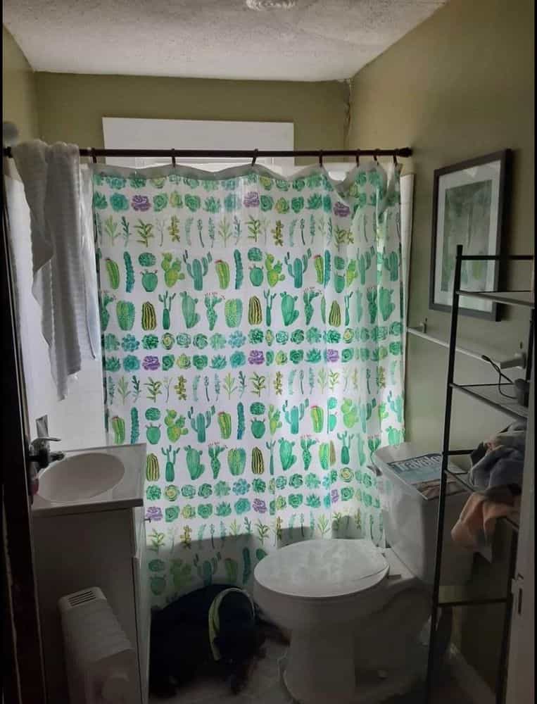 Picture of undefined, number 11