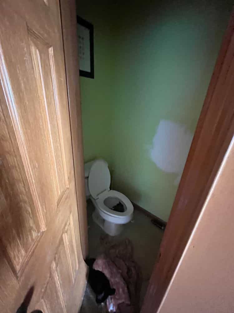 Picture of undefined, number 22