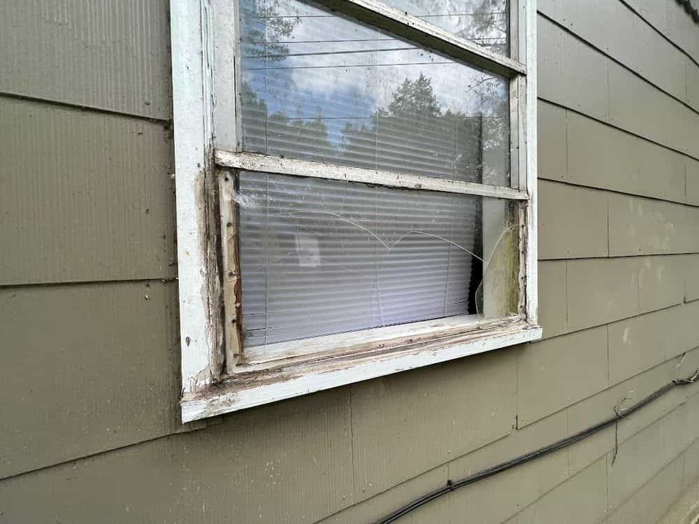 Picture of undefined, number 12