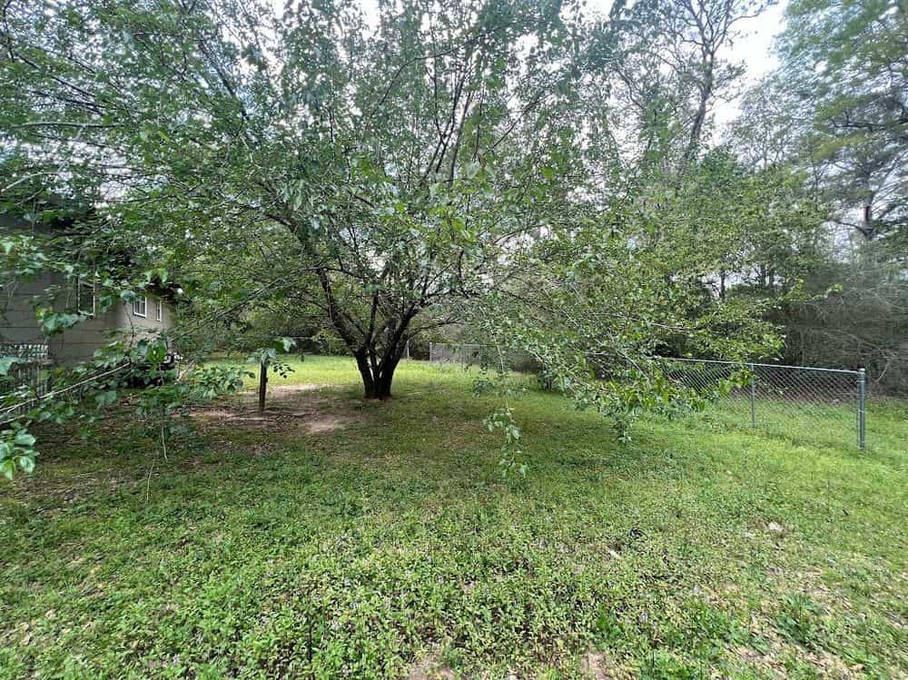 Picture of undefined, number 10
