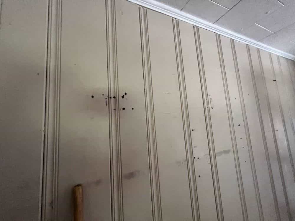 Picture of undefined, number 55