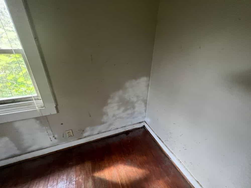 Picture of undefined, number 29