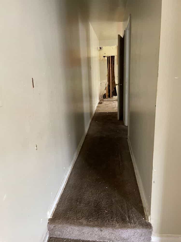 Picture of undefined, number 8