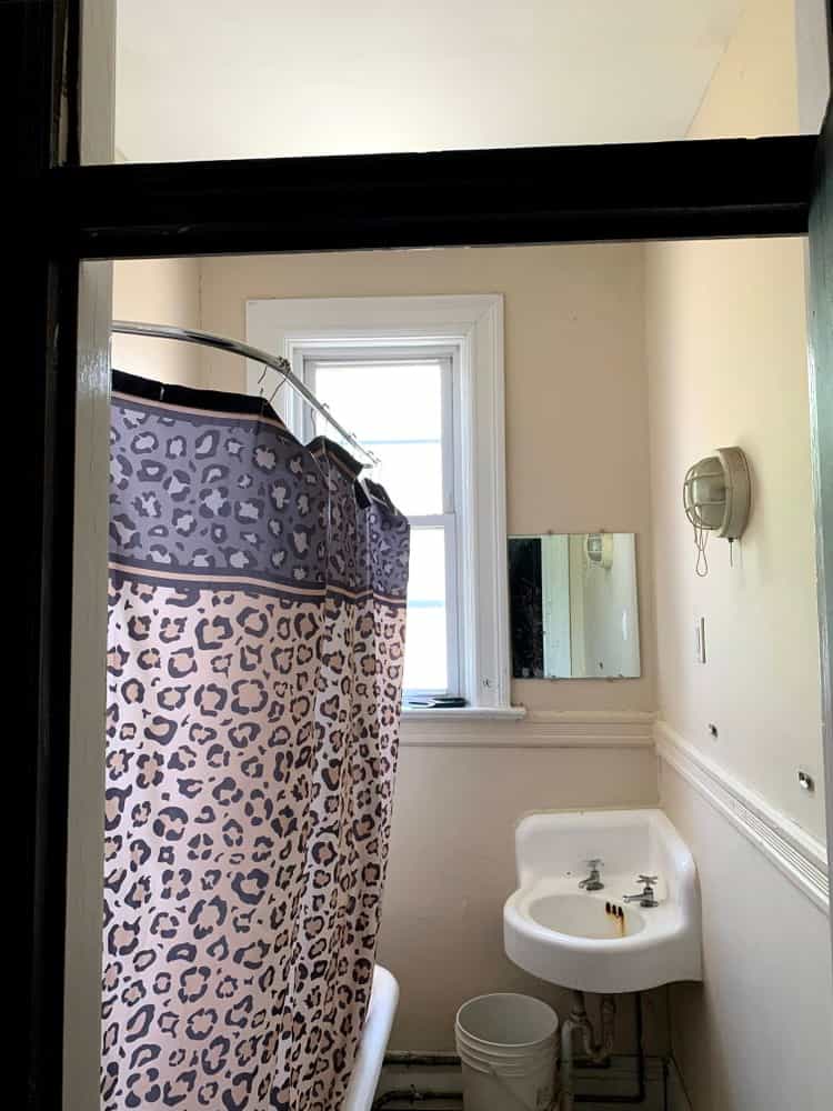 Picture of undefined, number 21