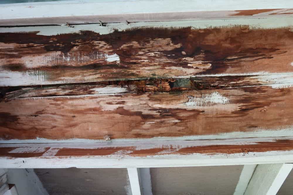 Picture of undefined, number 43