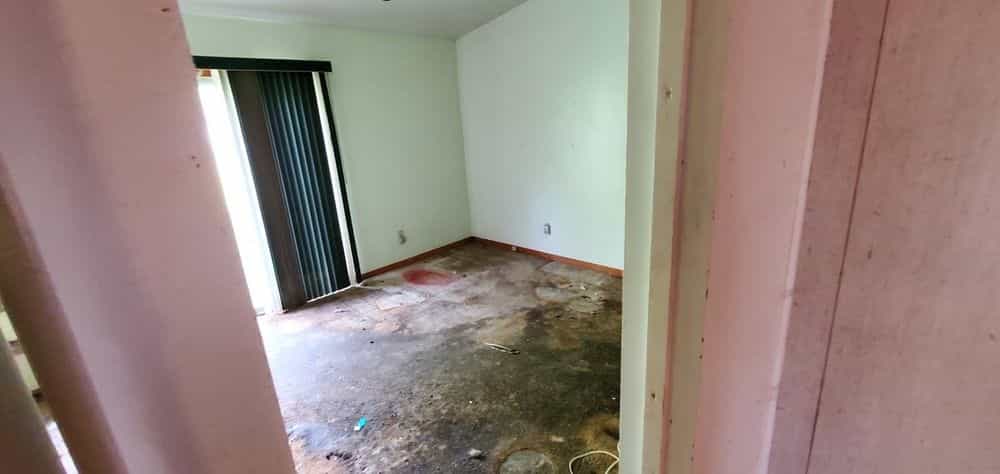 Picture of undefined, number 5