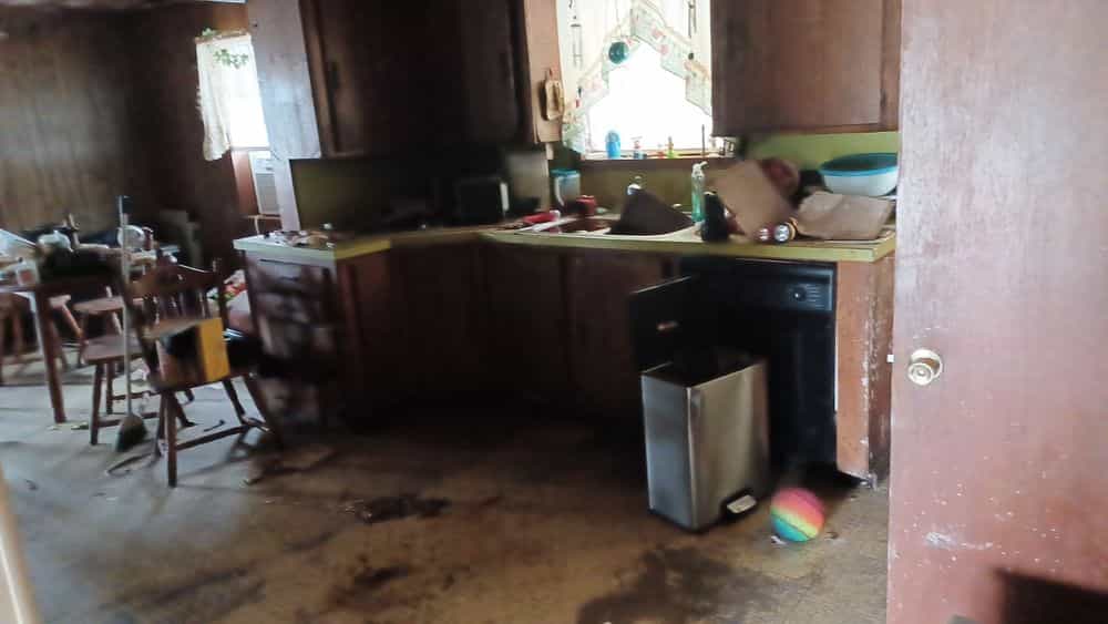 Picture of undefined, number 6