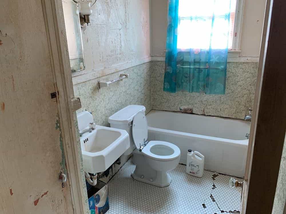 Picture of undefined, number 17