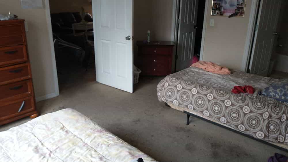 Picture of undefined, number 21