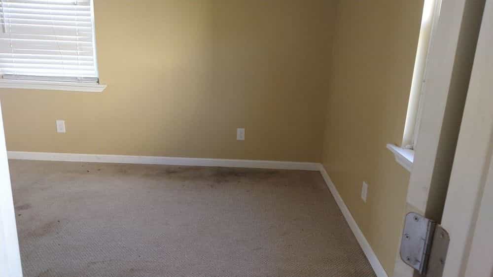 Picture of undefined, number 11