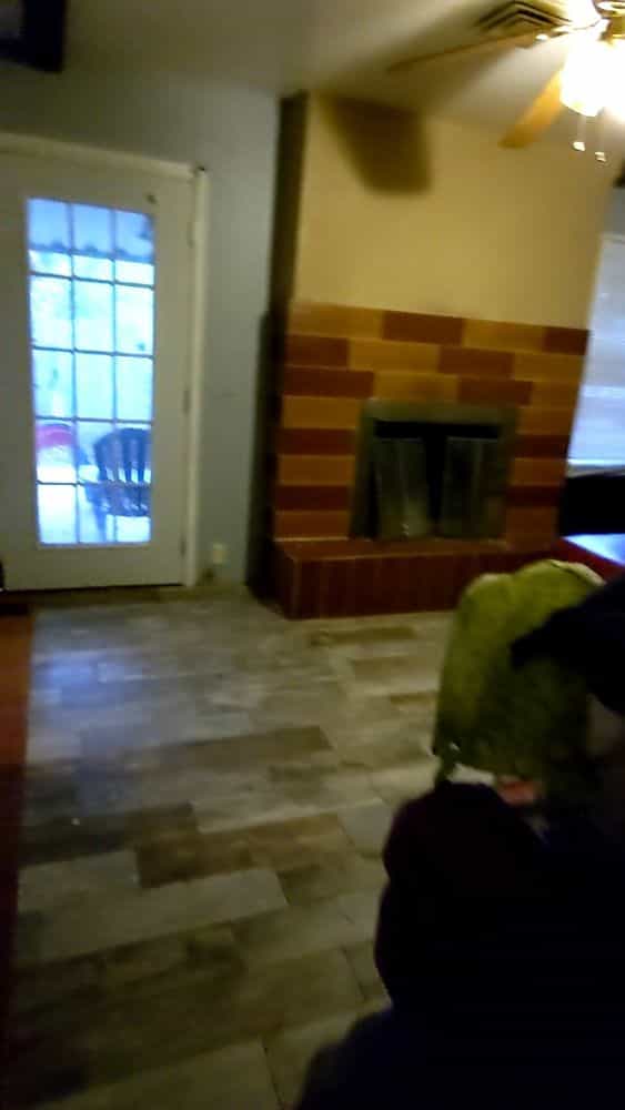 Picture of undefined, number 10