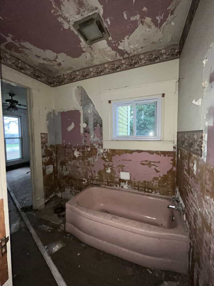 Picture of undefined, number 5