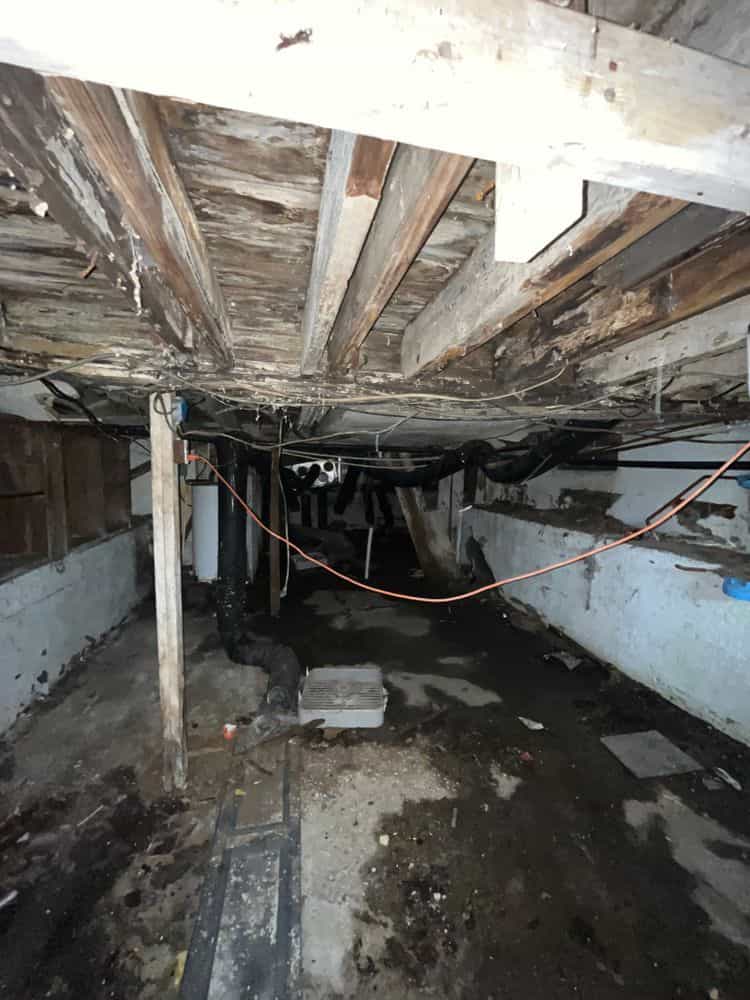 Picture of undefined, number 12