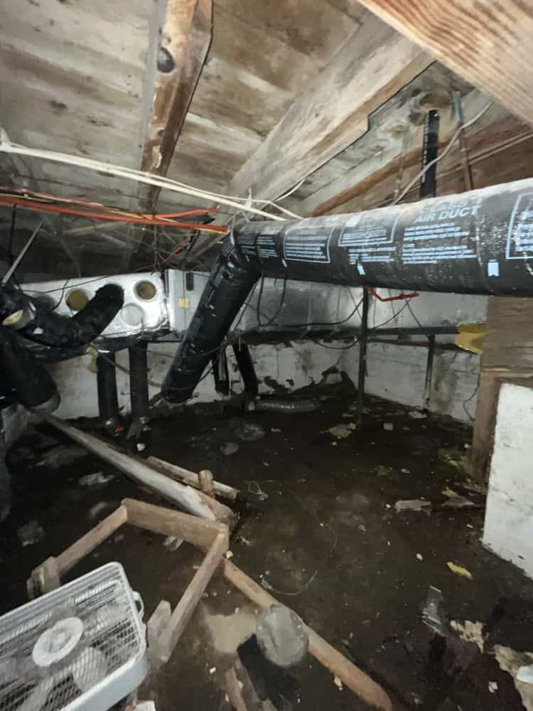 Picture of undefined, number 14