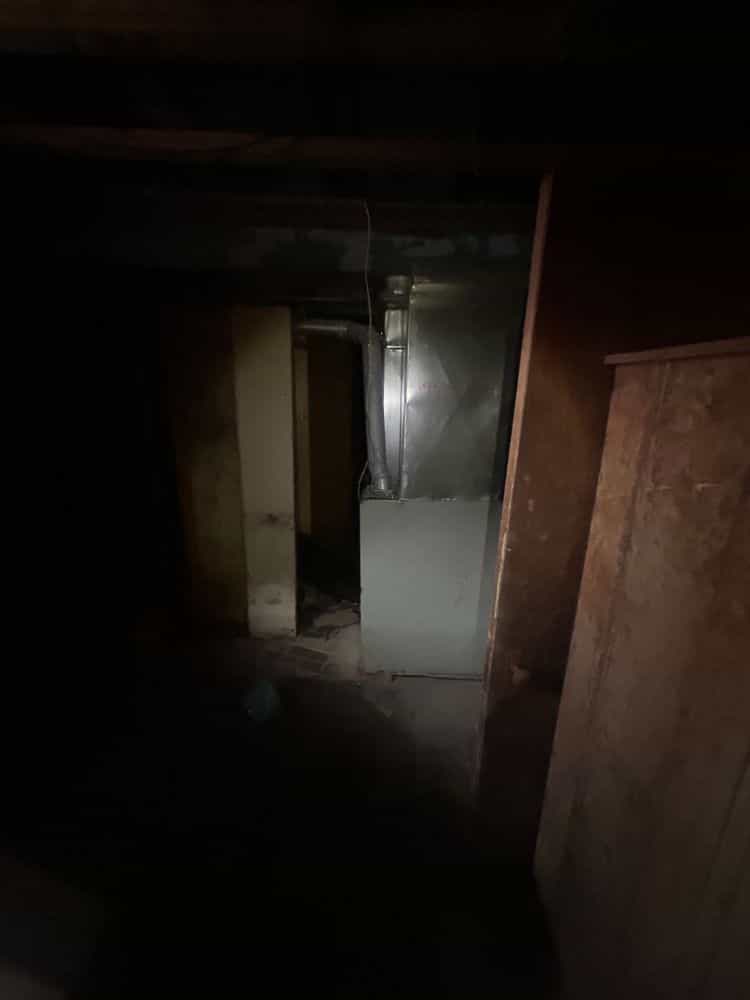 Picture of undefined, number 21
