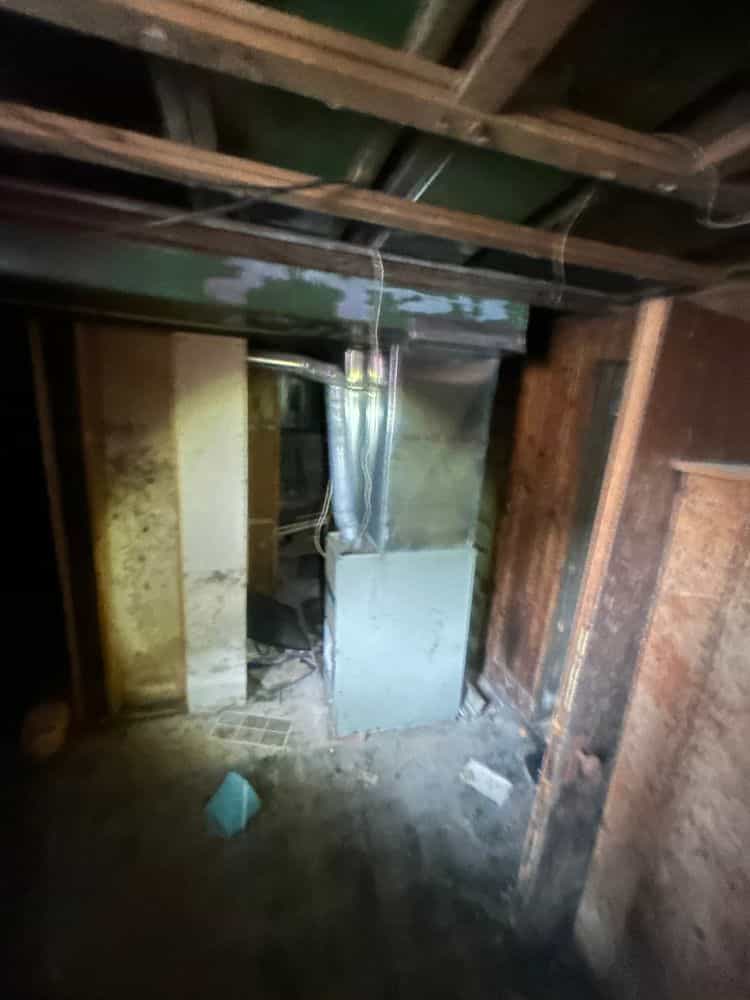 Picture of undefined, number 22