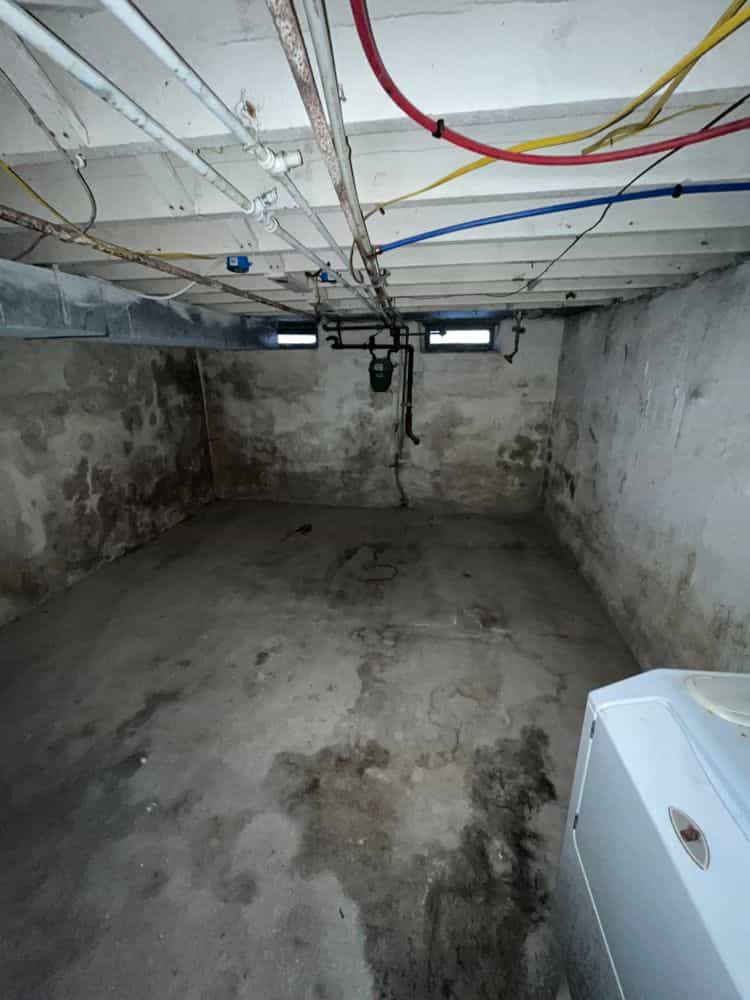 Picture of undefined, number 42