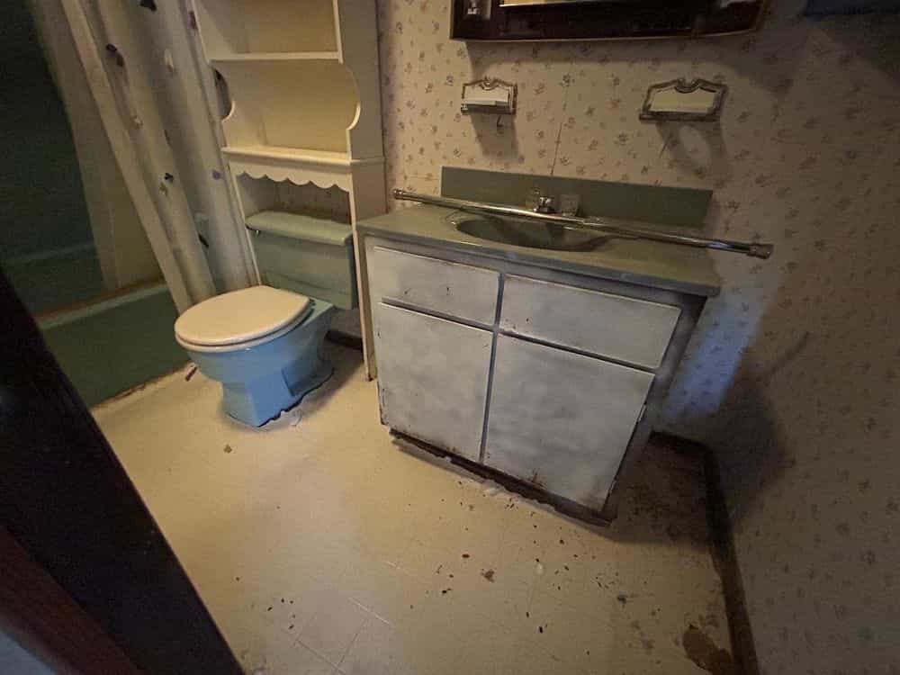 Picture of undefined, number 16