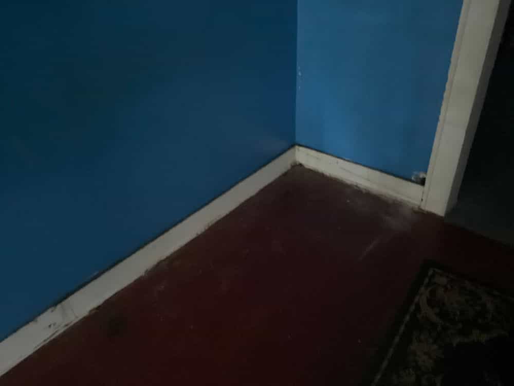 Picture of undefined, number 37
