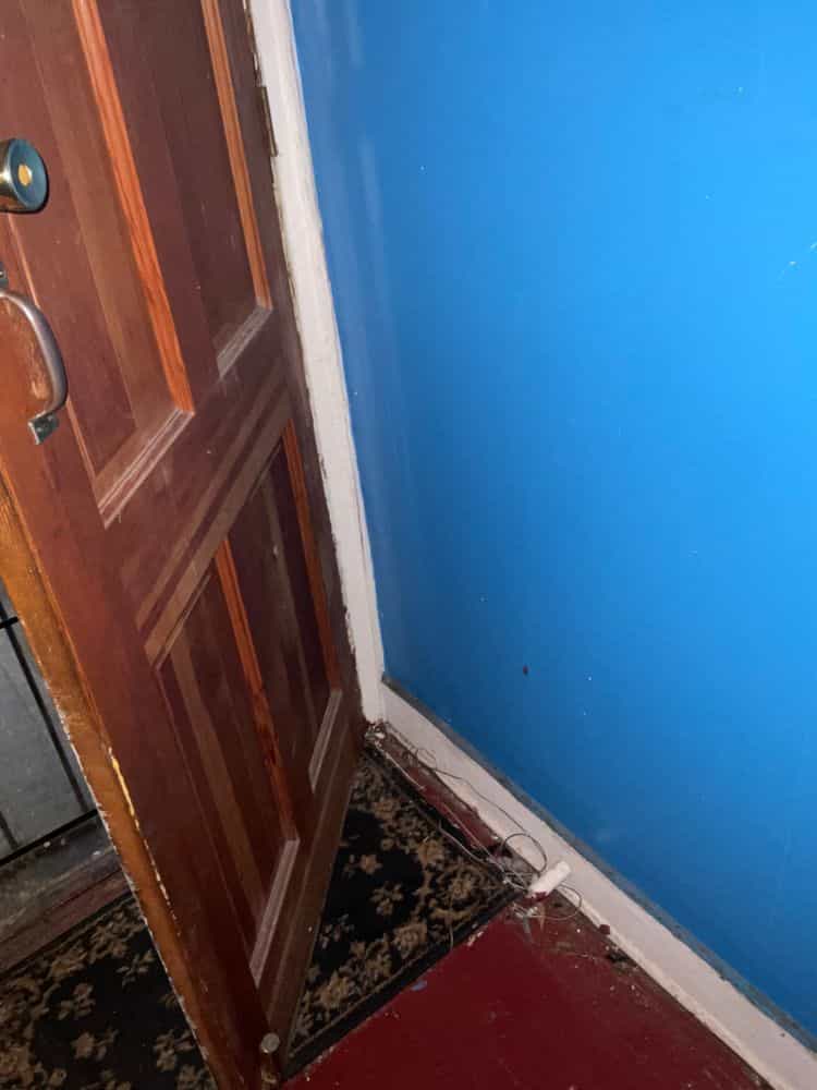 Picture of undefined, number 29