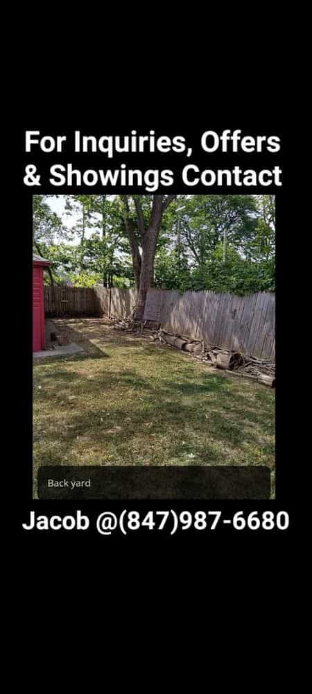 Picture of undefined, number 8