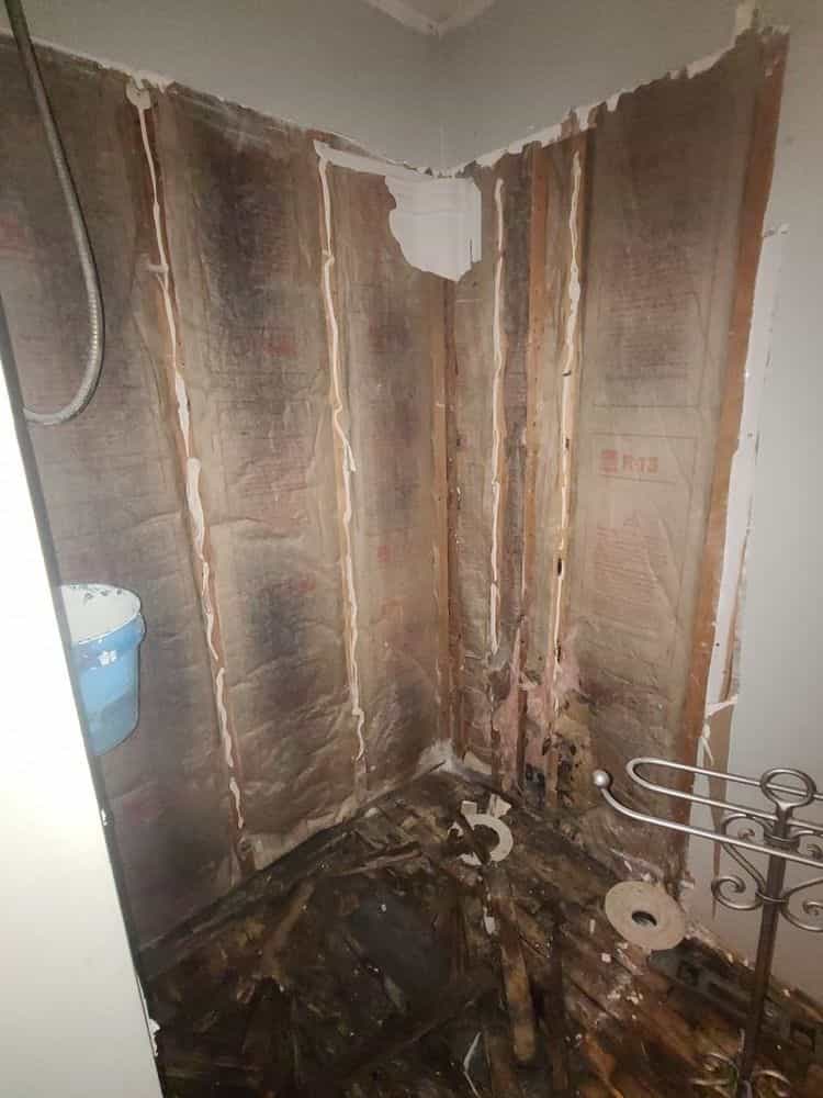 Picture of undefined, number 10