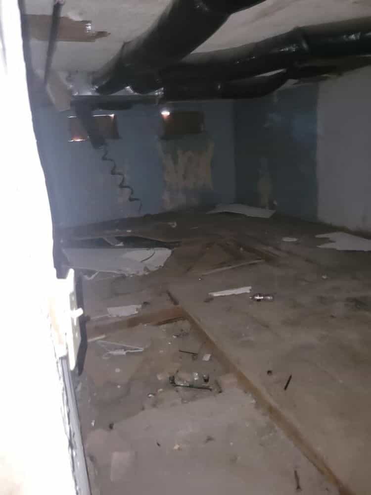 Picture of undefined, number 5