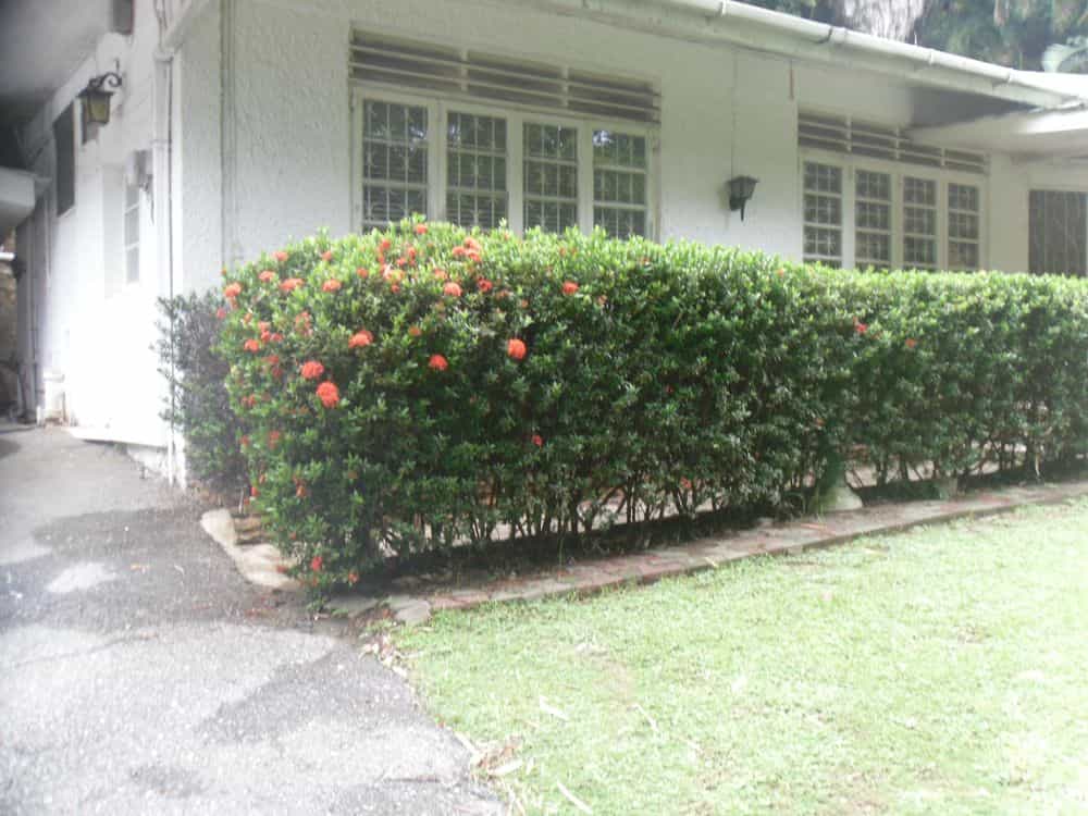 Picture of undefined, number 0